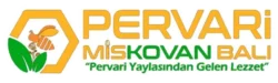 PERVARİ Mis Kovan Balı